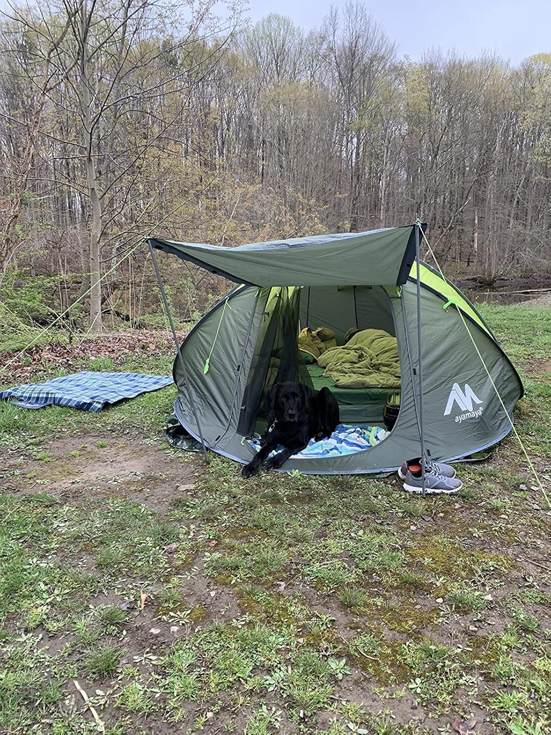 6 Person Easy Pop Up Tents for Camping - AYAMAYA D... - Image 10